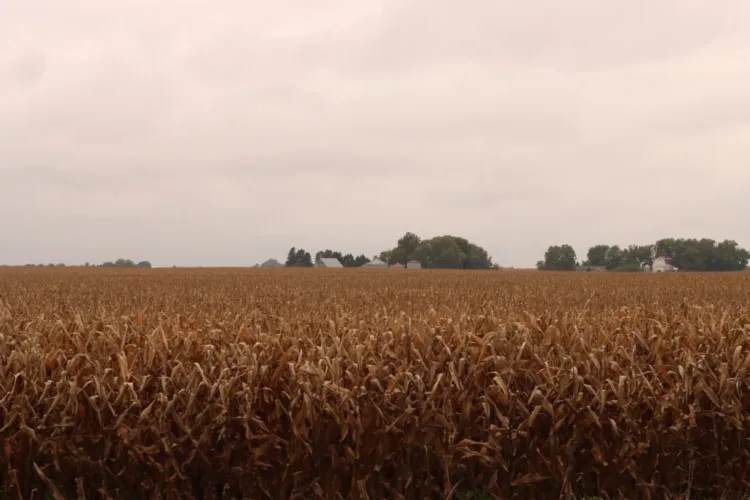 Iowa farmers behind on harvest as wet September comes to close